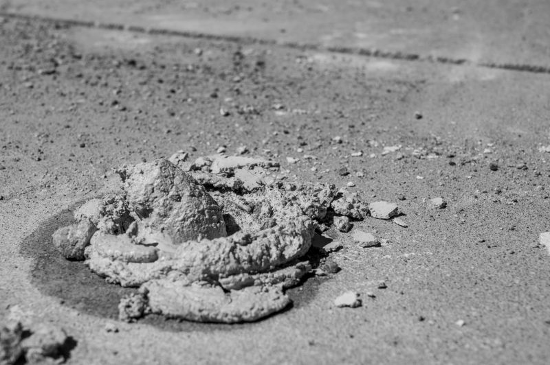 Summer Concrete Leveling